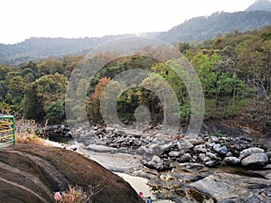 Beautiful forest of Silent valley national Park in Nilambur,Kerala.