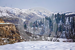 Beautiful forest snow scene in the West Tianshan Mountains in winter
