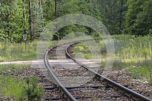 Railway tracks curving in a graceful arc among the picturesque forest. photo
