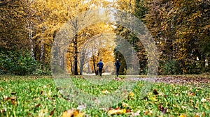 Running athletes in the park on a run in the early morning. Several children are running in the woods doing sports