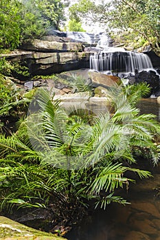 Beautiful forest waterfall in spring season.