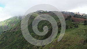 Beautiful forested mountain range with farmlands on hills, Kodaikanal, Tamil Nadu, India