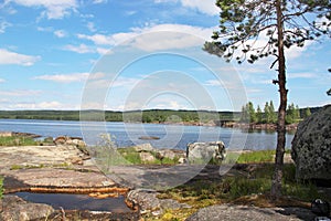 Beautiful forests of Finland