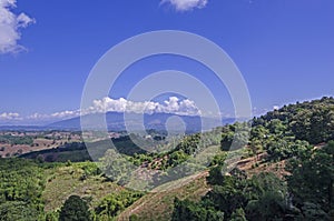 Beautiful forests and mountains with blue sky background in sunlight