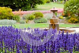 Beautiful Formal Garden