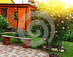 Beautiful formal garden with log bench and roses