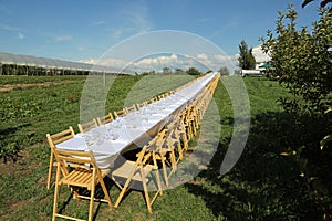 Beautiful formal table