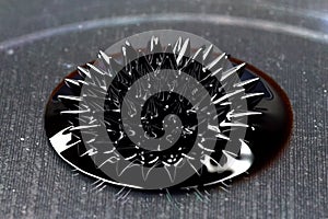 Beautiful forms of ferromagnetic fluid