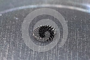 Beautiful forms of ferromagnetic fluid. Iron dissolved in a liqu photo