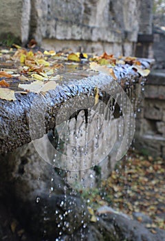 Beautiful fountain with autumn leaves