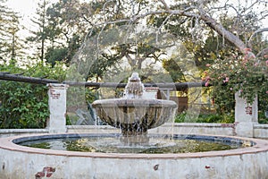 Beautiful fountain of Descanso Garden photo