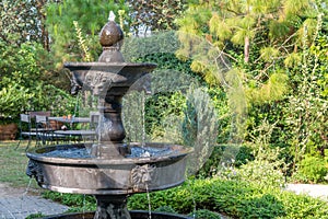 Beautiful fountain in the garden with natural green tree gardening exterior for home and living achitecture decoration. Vintage an photo