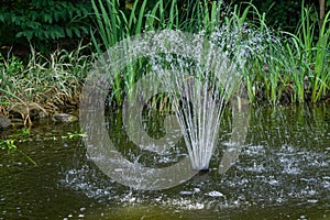 Beautiful fountain in garden pond against background of emerald green of shady summer garden. Freshness of water jets