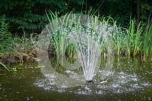 Beautiful fountain in garden pond against background of emerald green of shady summer garden