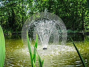 Beautiful fountain in garden pond against background of emerald green of shady summer garden. Freshness of water