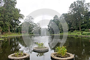 Beautiful fountain in lake : Cibodas botanical garden in Puncak