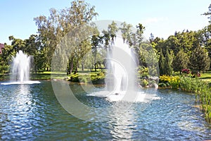 A beautiful fountain on the lake in the Mezhyhirya landscape park near Kiev.