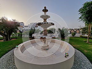 Beautiful fountain in the park at Abu Dhabi, UAE.