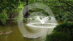 Beautiful fountain shakes water from lake in botanical garden,