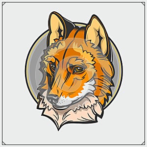 Beautiful fox emblem and label. Vector.