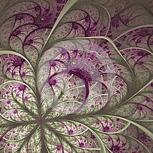 Beautiful fractal flower in vinous and gray. photo