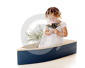 Beautiful Fragerance