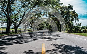 Beautiful fragment of the Ibague Espinal road with trees photo