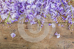 Beautiful frame of blooming purple wisteria on the vintage wooden background