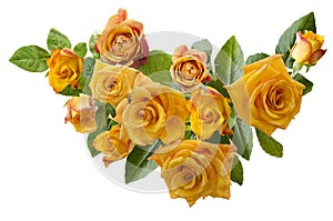 Beautiful frame with bouquet of yellowish orange roses isolated on white background