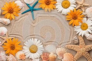 Beautiful frame of flowers, stars and shell on sand.