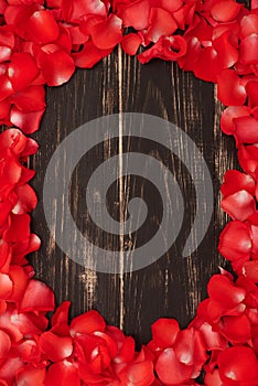 Beautiful frame from red rose petals