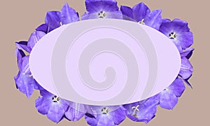 Beautiful frame with space for text lilac flowers