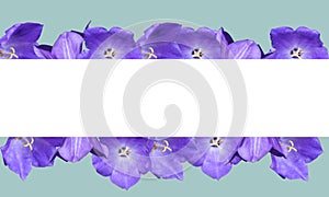 Beautiful frame with space for text lilac flowers