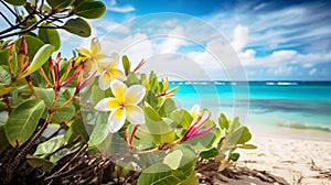 Beautiful frangipane flower in a tropical beach, illustrator ai generative
