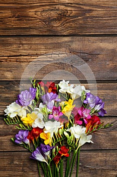 Beautiful freesia flowers