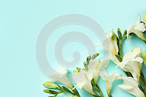 Beautiful freesia flowers on light blue background, flat lay. Space for text