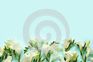 Beautiful freesia flowers on light blue background, flat lay. Space for text