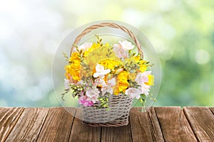 Beautiful freesia flowers in wicker basket on wooden table outdoors. Bokeh effect