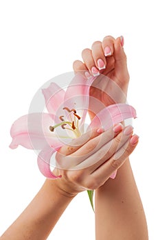 Beautiful French manicure. Female hands hold a lily flower isolated on white background. Skin and nail care