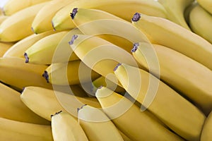 Beautiful fresh bananas