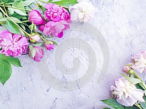 Beautiful fresh blossom bouquet celebration design elegant flower peony on gray concrete background