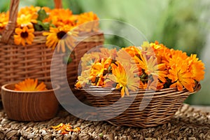 Beautiful fresh calendula flowers on table against blurred green background