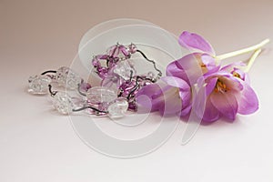 Beautiful fresh crocus flowers. Elegant purple flowers decoration with necklace on pink background