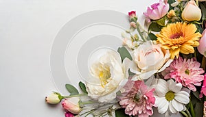 Beautiful fresh flowers and leaves lying isolated on white background and copy space