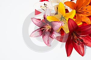 Beautiful fresh flowers. Tenderness and pleasant smell. Garden Lilies