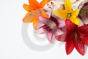 Beautiful fresh flowers. Tenderness and pleasant smell. Garden Lilies