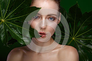 Beautiful fresh girl with perfect skin, natural make-up and green leaves. Beauty face.