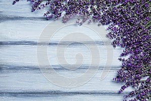 Beautiful fresh lavender flowers on grey wooden background, flat lay. Space for text