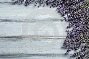 Beautiful fresh lavender flowers on light grey wooden background, flat lay. Space for text