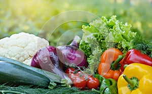 Beautiful fresh organic vegetables on the background of a blurred green vegetable garden. The concept of gardening, healthy eating